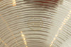 Paiste Signature 14" Dark Crisp Hats (905 & 1460g)