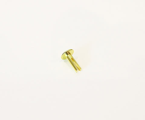 Split Rivet